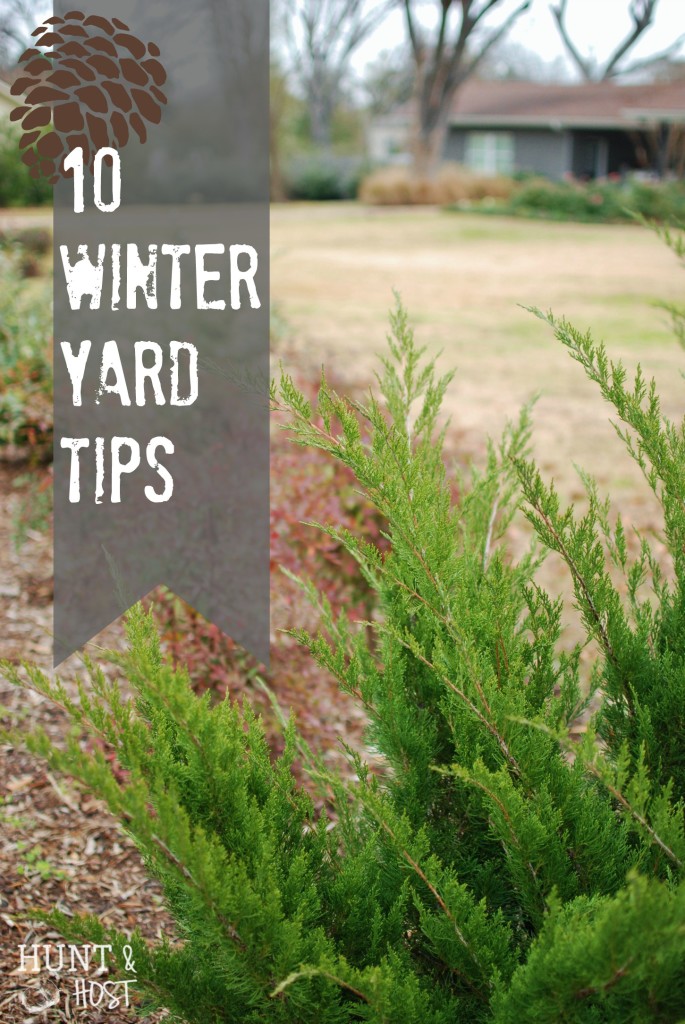 10 winter yard tips