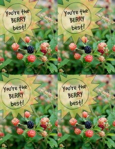 You're the berry best gift tag
