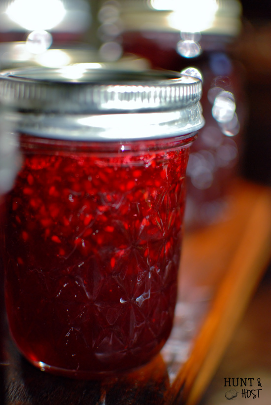 blackberry jelly berry best1