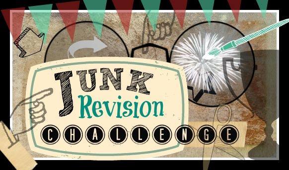 Junk Revision Challenge