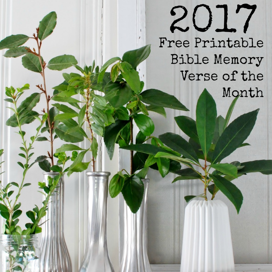2017 Bible Memory verses of the month with a free printable from Hunt & Host