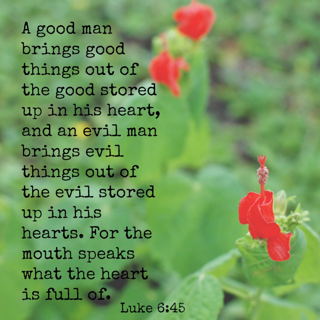 A good man brings good things out of the good stored up in his heart, and an evil man brings evil things out of the evil stored up in his heart. For the mouth speaks what the heart is full of. Luke 6:45 Memory verse challenge www.huntandhost.net