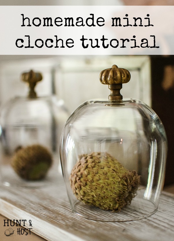 A simple homemade cloche. This mini glass cloche takes seconds to make but gives lasting decorating impact! 