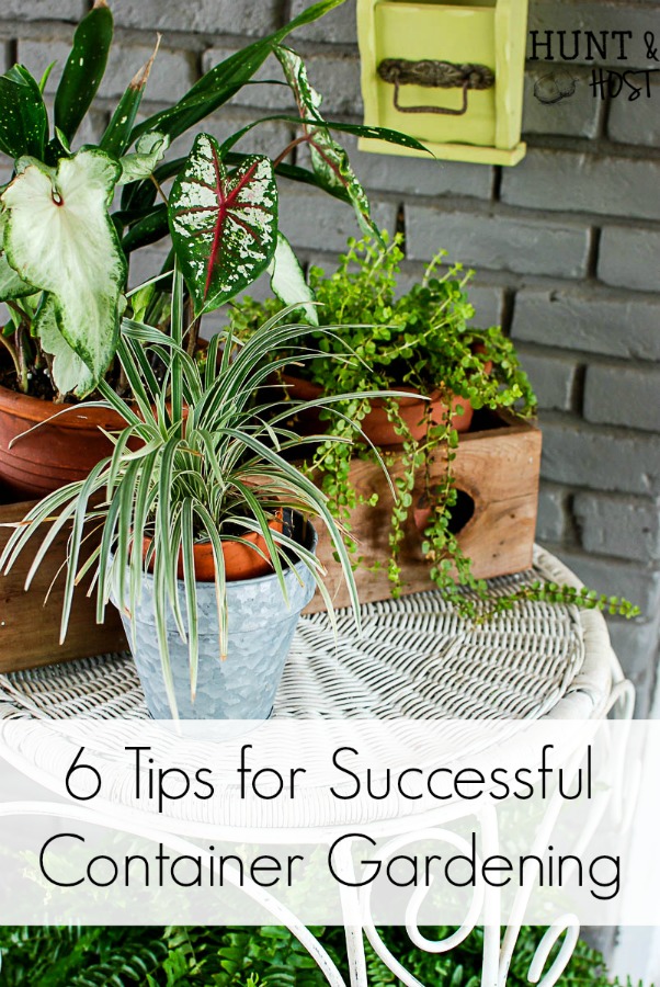 6 tips for successful container gardening. Want your patio to look straight out of a magazine? These tips will have you fixed up with realistic outcomes for your potted plants in no time! 