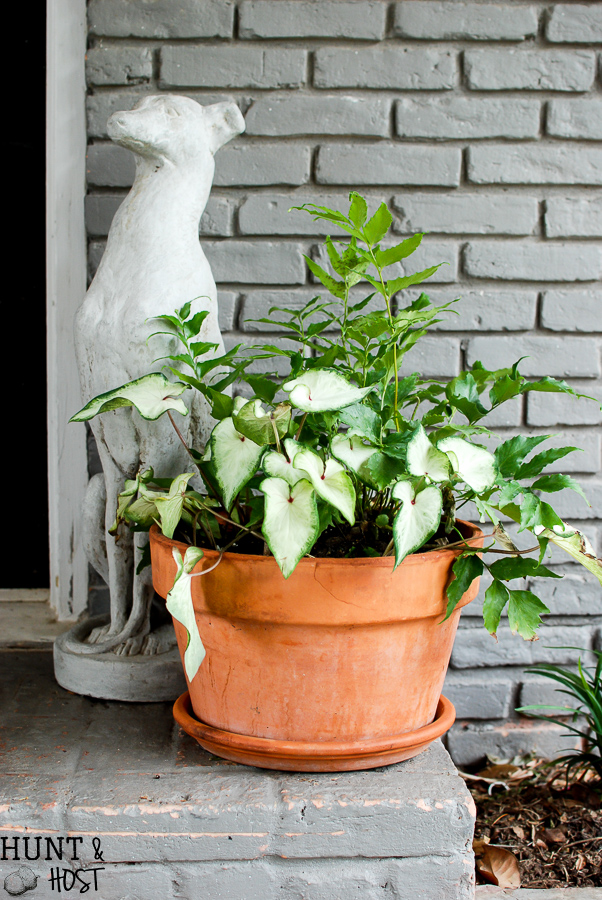 6 tips for successful container gardening. Want your patio to look straight out of a magazine? These tips will have you fixed up with realistic outcomes for your potted plants in no time! 