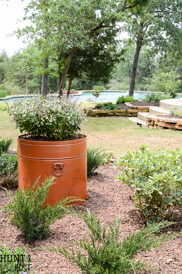 Master Gardener Home Garden Tour: Walk through this homeowner completed ladscape filled with salvaged planters, upcycled accents, creative flower bed borders, inventive erosion control, bee hives and curb side bird baths. 