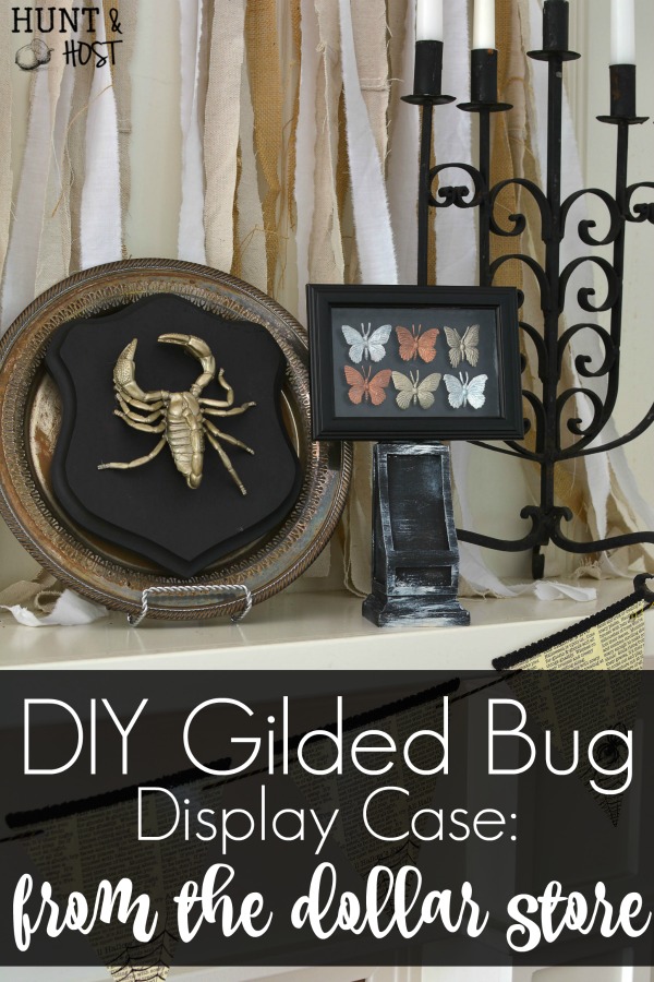 Halloween decorating ideas from the dollar store. These gilded bugs display cases are glamorous and easy to make Halloween décor. 