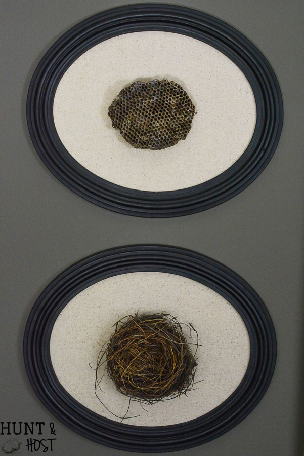 Turn a fallen nest into art and use it as inspiration to build up your family. Bird nest art and wasp nest art make gorgeous wall statement pieces.