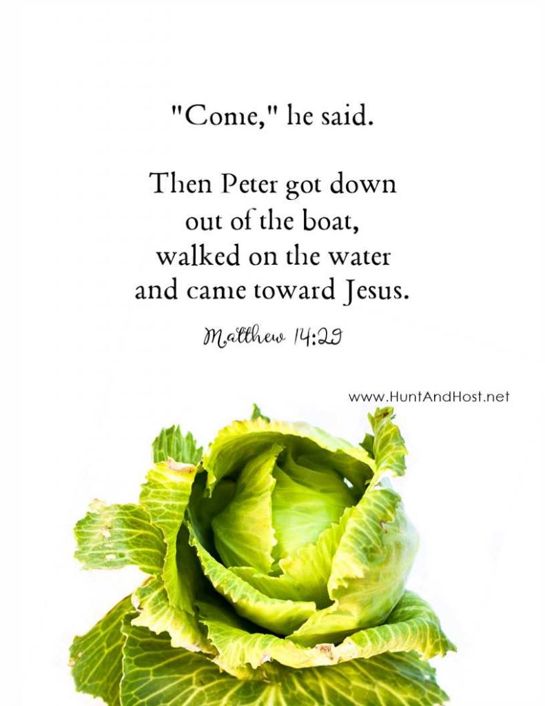 "Come," he said. Then Peter got down out of the boat, walked on the water and came toward Jesus. Matthew 14:29