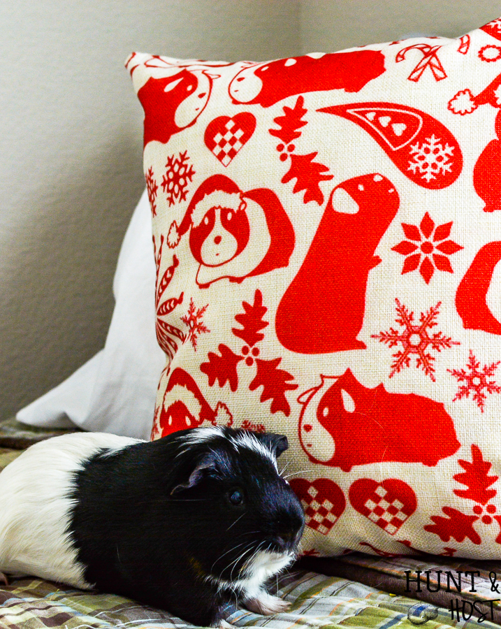 This adorable guinea pig pillow for Christmas is a rare find. Perfect for the animal lover on your list or to add some piggie love to your holiday decor. #guineapig #pillow #pillowcover #farmpillow #christmaspillow #christamsdecor