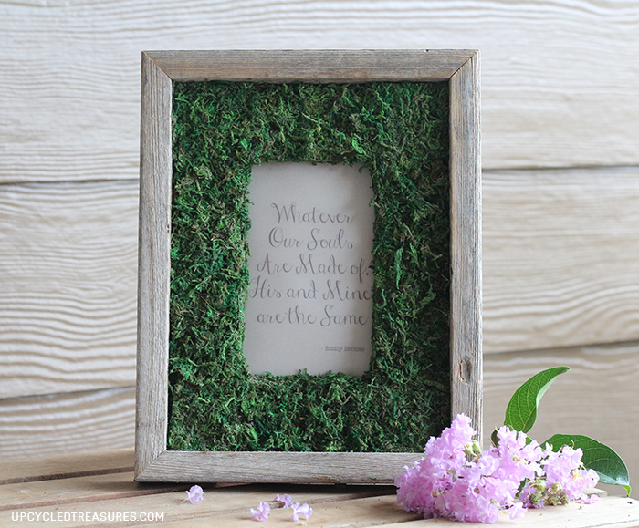 a collection of fun ways to use moss in our decor, these DIY moss craft ideas will give you a fresh start to decorating with new wall art, moss signs, moss pictures and many other easy moss tutorials. #mossdecor #mosstips #mosscraft #springdecor #dollarstorecraft #easyDIY #greenthumb